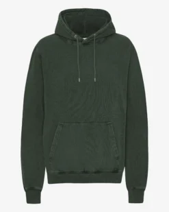 Classic Organic Hood - Midnight Forest
