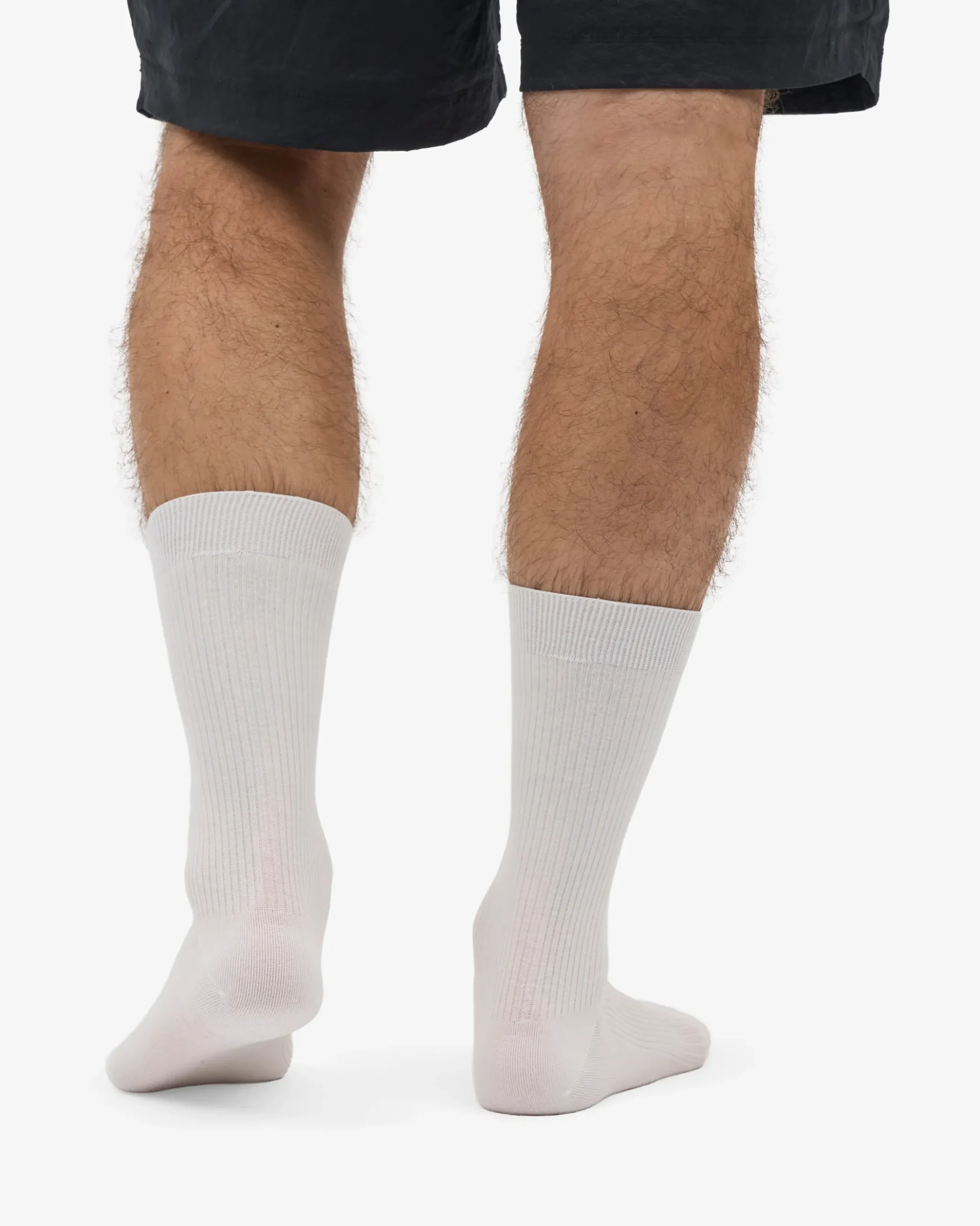 Classic Organic Sock - Optical White (3-Pack)