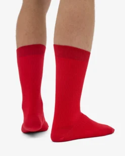 Classic Organic Sock - Scarlet Red (3-Pack)