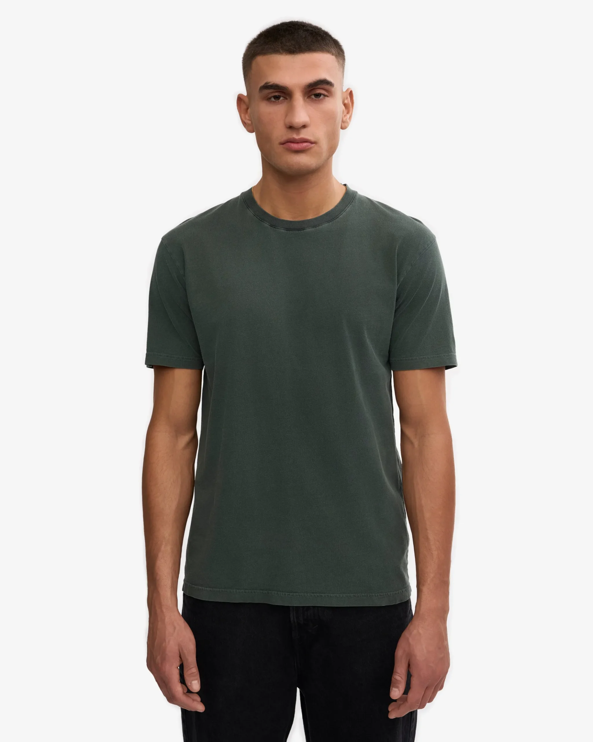 Classic Organic Tee - Midnight Forest