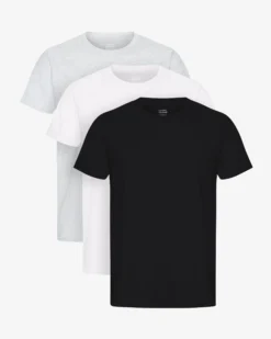 Classic Organic Tee - Mixed 06 (3-Pack)