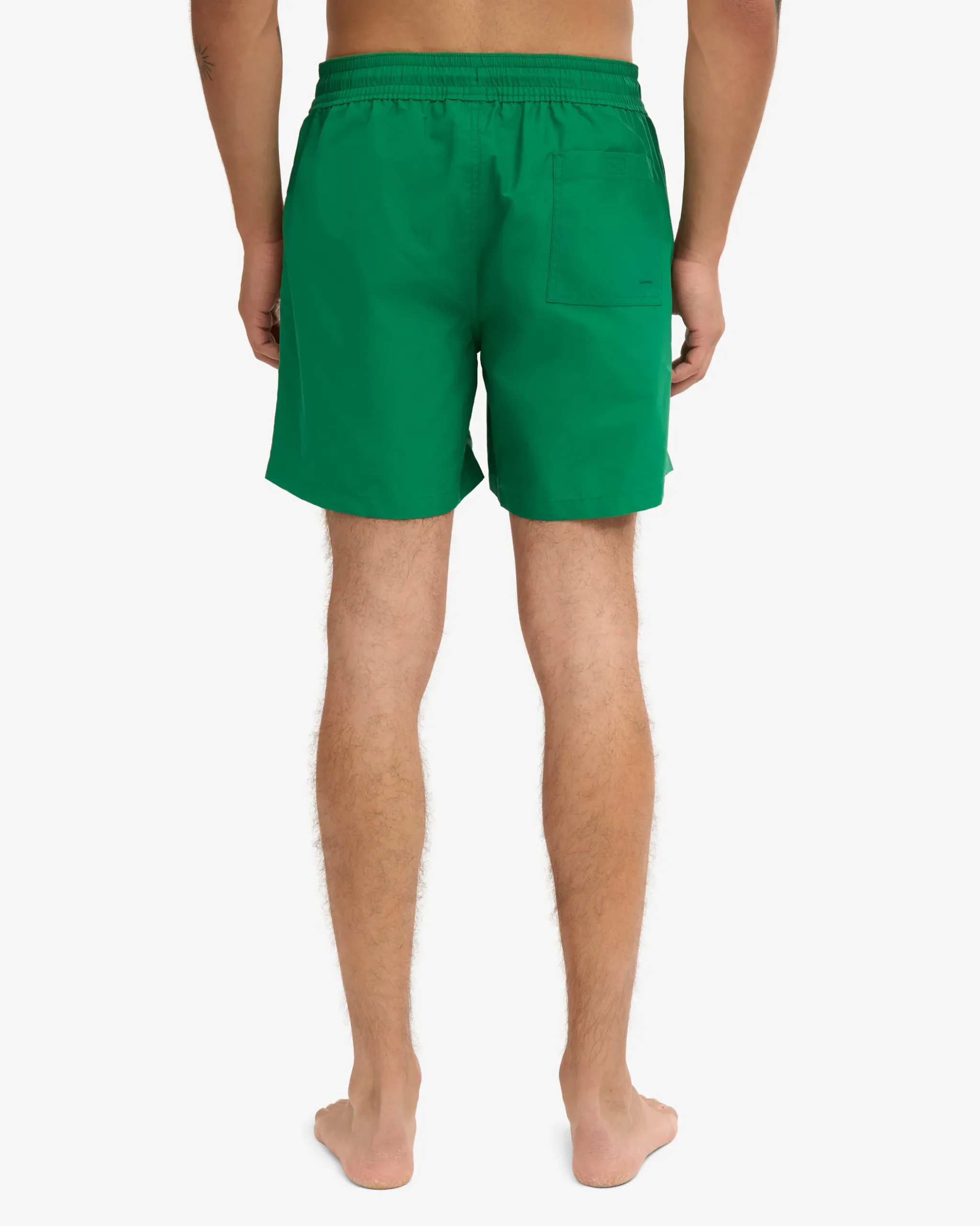 Classic Swim Shorts - Kelly Green