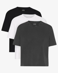 Organic Boxy Crop Tee - Mixed 02 (3-Pack)