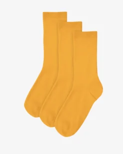 Women Classic Organic Sock - Burned Yellow (3-Pack)